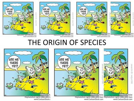THE ORIGIN OF SPECIES. HOW DOES EVOLUTION LEAD TO THE FORMATION OF ALL THE DIFFERENT ORGANISMS, OR SPECIES, WE SEE ON THE PLANET? FIRST WE MUST DEFINE.