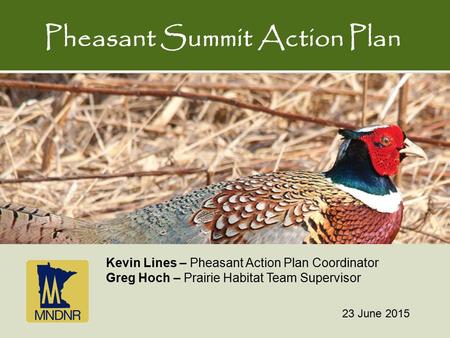 Pheasant Summit Action Plan 23 June 2015 Kevin Lines – Pheasant Action Plan Coordinator Greg Hoch – Prairie Habitat Team Supervisor.