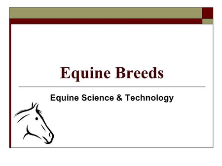 Equine Breeds Equine Science & Technology. Equine Breeds Feral- a horse that was once domesticated and has become wild. A breed of horse may be defined.