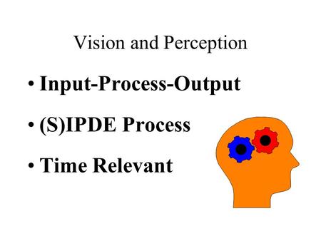 Vision and Perception Input-Process-Output (S)IPDE Process Time Relevant.