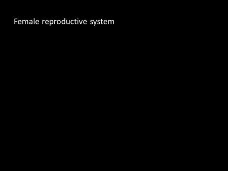 Female reproductive system. How many parts are there to the female reproductive system?