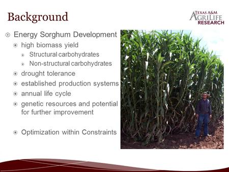 Background  Energy Sorghum Development ◉ high biomass yield ◉ Structural carbohydrates ◉ Non-structural carbohydrates ◉ drought tolerance ◉ established.