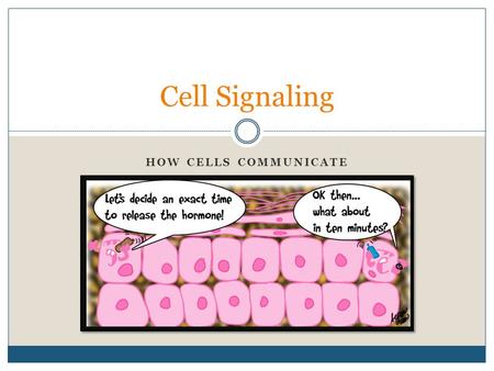 Cell Signaling How cells communicate.
