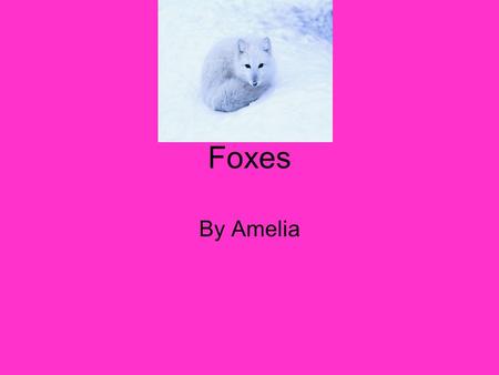 Foxes By Amelia. I learned a lot about foxes. I am going to share with you what they look like, what they eat, where they live, and some other interesting.