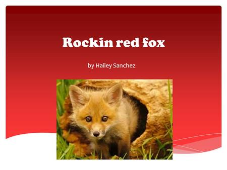 Rockin red fox by Hailey Sanchez  A fox is red and has a white and red on its tail.  They are very good hunters and jumpers.  The red fox are also.