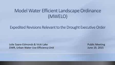 Julie Saare-Edmonds & Vicki Lake Public Meeting DWR, Urban Water Use Efficiency Unit June 19, 2015.