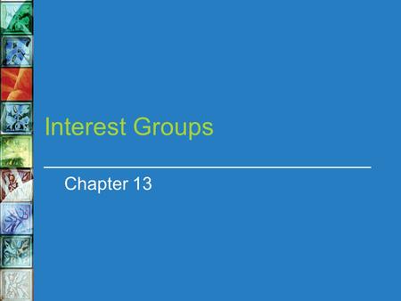 Interest Groups Chapter 13.