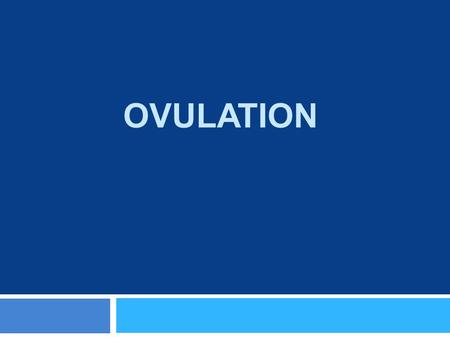 Ovulation.