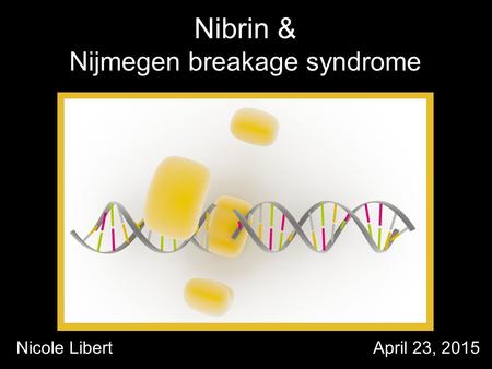 Nibrin & Nijmegen breakage syndrome Nicole LibertApril 23, 2015.