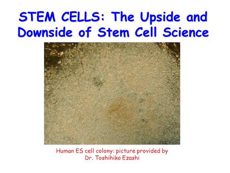 STEM CELLS: The Upside and Downside of Stem Cell Science Human ES cell colony: picture provided by Dr. Toshihiko Ezashi.