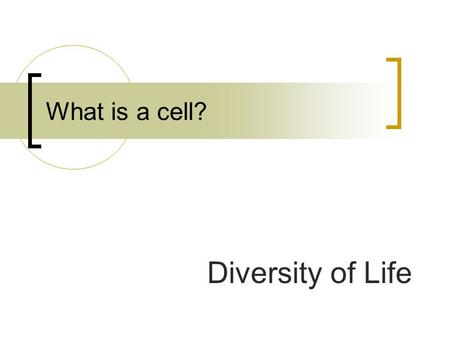 What is a cell? Diversity of Life.