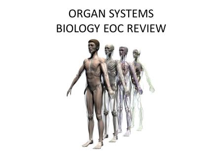 ORGAN SYSTEMS BIOLOGY EOC REVIEW
