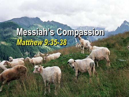Messiah’s Compassion Matthew 9:35-38. 2 Compassion God’s compassion through the Messiah, Micah 7:18-20 “to have pity, a feeling of distress through the.