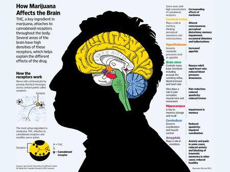 []. [“Cannabis als risicofactor vor psychose: een update”, Kuepper – Van Winkel – Henquet (Tijdschrift voor psychiatrie, 2013)]