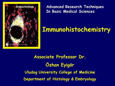 Immunohistochemistry