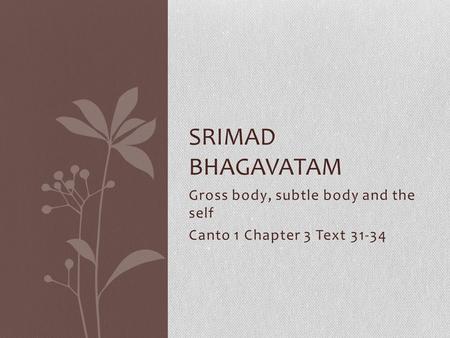 Gross body, subtle body and the self Canto 1 Chapter 3 Text 31-34 SRIMAD BHAGAVATAM.