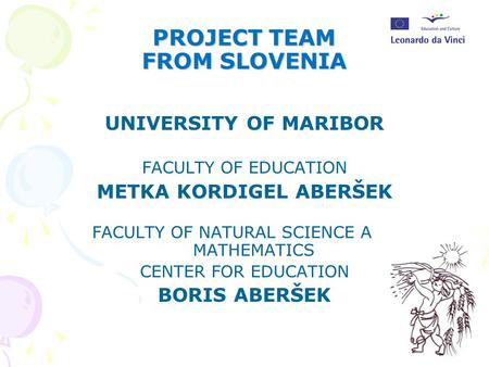 PROJECT TEAM FROM SLOVENIA UNIVERSITY OF MARIBOR FACULTY OF EDUCATION METKA KORDIGEL ABERŠEK FACULTY OF NATURAL SCIENCE AND MATHEMATICS CENTER FOR EDUCATION.