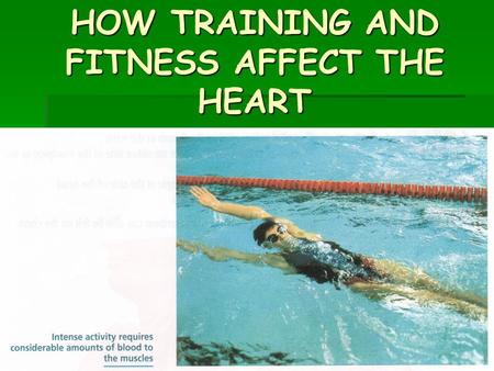 HOW TRAINING AND FITNESS AFFECT THE HEART. 1. HEART RATE OR PULSE RATE- This is the number of times the heart beats per minute. In a trained athlete it.
