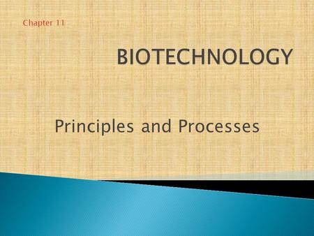 Principles and Processes