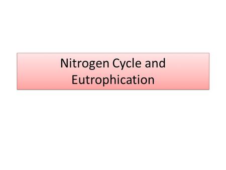 Nitrogen Cycle and Eutrophication