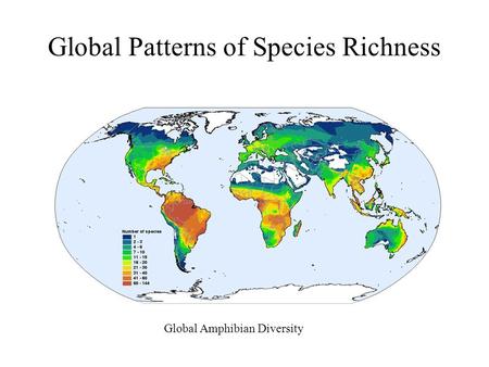 Global Patterns of Species Richness Global Amphibian Diversity.
