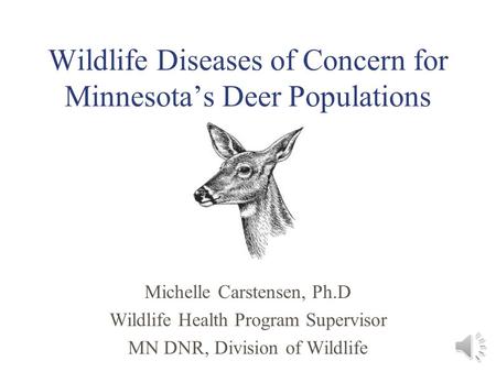 Wildlife Diseases of Concern for Minnesota’s Deer Populations Michelle Carstensen, Ph.D Wildlife Health Program Supervisor MN DNR, Division of Wildlife.