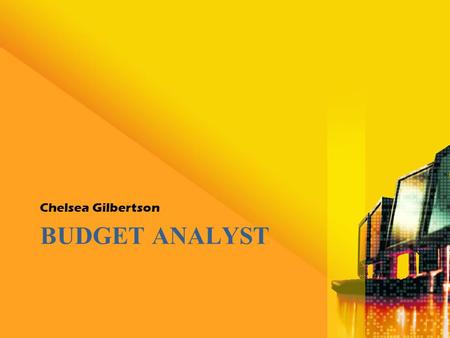 BUDGET ANALYST Chelsea Gilbertson. Basics of the Job What does a budget analyst do? –Budget analysts help public and private institutions organize their.