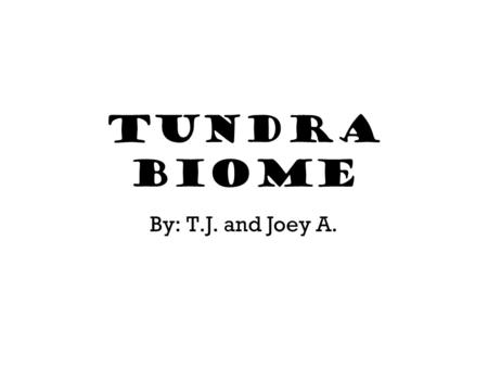 Tundra Biome By: T.J. and Joey A.. Part 1 This section will be about 1. The temperature. 2. The average annual precipitation. 3. Natural features that.