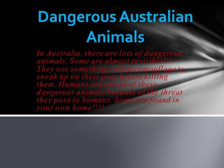 In Australia, there are lots of dangerous animals. Some are almost invisible!!!. They use something called camouflage to sneak up on their prey before.
