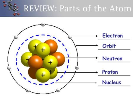REVIEW: Parts of the Atom Electron Orbit Neutron Proton Nucleus.
