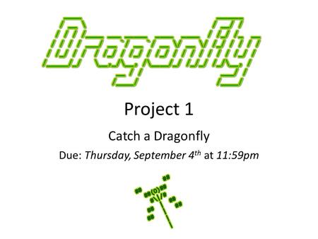 Project 1 Catch a Dragonfly Due: Thursday, September 4 th at 11:59pm.