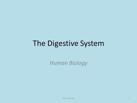 The Digestive System Human Biology Ms. Ghtaura.