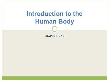 Introduction to the Human Body