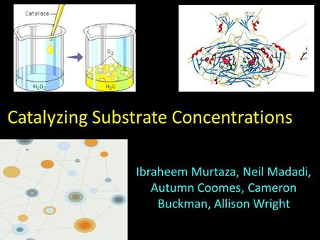 Catalyzing Substrate Concentrations Ibraheem Murtaza, Neil Madadi, Autumn Coomes, Cameron Buckman, Allison Wright.