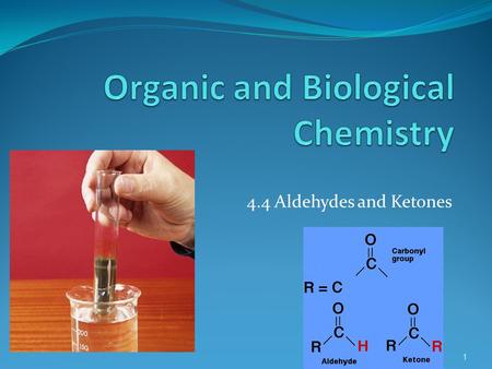 4.4 Aldehydes and Ketones 1. Aldehydes and Ketones 2 Carbonyl functional group Aldehyde: terminal carbon Ketone: non terminal carbon.