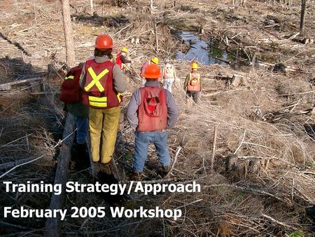Training Strategy/Approach February 2005 Workshop.