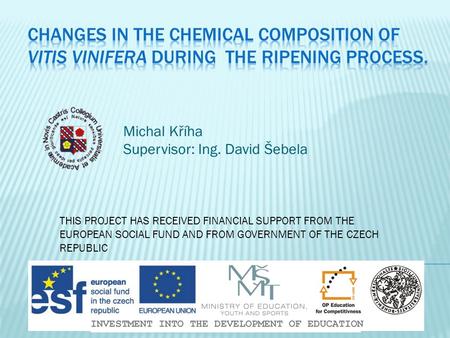 THIS PROJECT HAS RECEIVED FINANCIAL SUPPORT FROM THE EUROPEAN SOCIAL FUND AND FROM GOVERNMENT OF THE CZECH REPUBLIC Michal Kříha Supervisor: Ing. David.