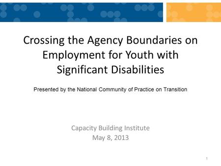 Crossing the Agency Boundaries on Employment for Youth with Significant Disabilities Capacity Building Institute May 8, 2013 1 Presented by the National.