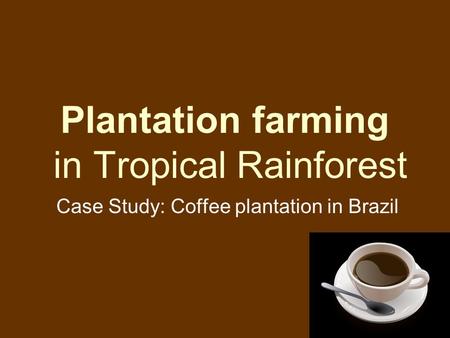 Plantation farming in Tropical Rainforest
