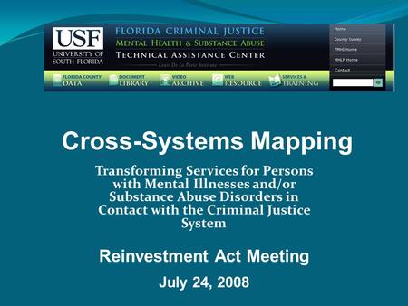Cross-Systems Mapping Transforming Services for Persons with Mental Illnesses and/or Substance Abuse Disorders in Contact with the Criminal Justice System.