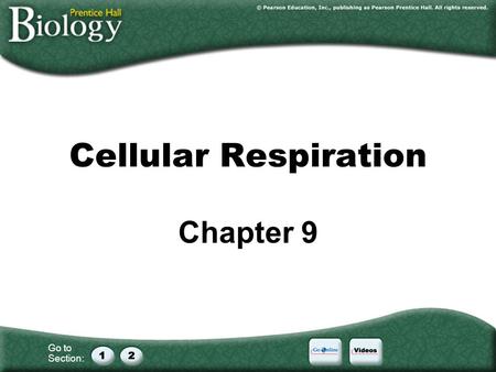 Go to Section: Cellular Respiration Chapter 9. Go to Section: Interest Grabber Feel the Burn Do you like to run, bike, or swim? These all are good ways.