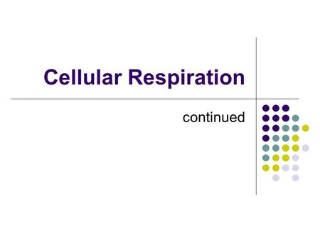 Cellular Respiration continued. Review Purpose of cellular respiration is to convert ________ into _____ energy. Aerobic conditions: the pathway is glucoseATP.