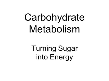 Carbohydrate Metabolism Turning Sugar into Energy.