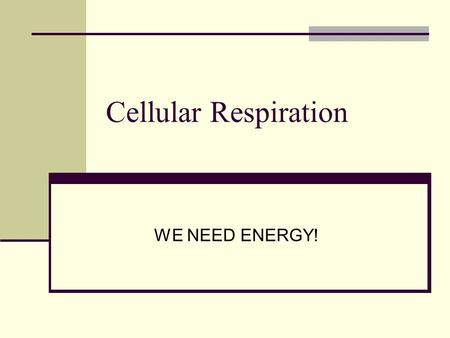 Cellular Respiration WE NEED ENERGY!. What is it? Process where the mitochondria breaks down food molecule to produce ATP.