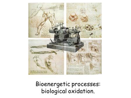 Bioenergetic processes: biological oxidation.. Metabolism - the entire network of chemical reactions carried out by living cells. Metabolism also includes.
