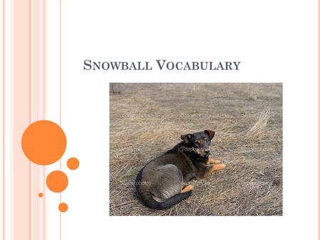 S NOWBALL V OCABULARY. HAGGLE To haggle means to argue back and forth to arrive at a price the seller thinks is high enough and the buyer thinks is low.