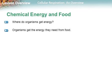 Chemical Energy and Food