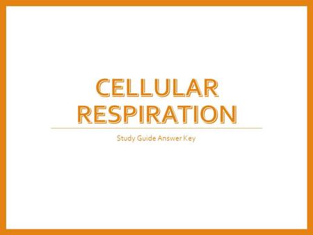 Cellular Respiration Study Guide Answer Key.