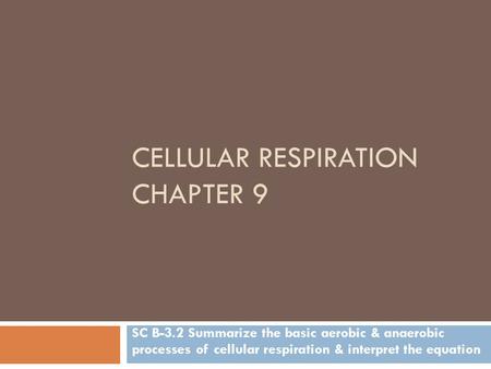 CELLULAR RESPIRATION CHAPTER 9 SC B-3.2 Summarize the basic aerobic & anaerobic processes of cellular respiration & interpret the equation.