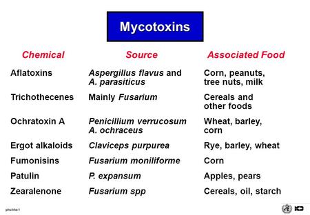 Mycotoxins Chemical Source Associated Food Aflatoxins Trichothecenes